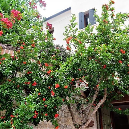 Locanda Alla Posta Borso del Grappa Buitenkant foto