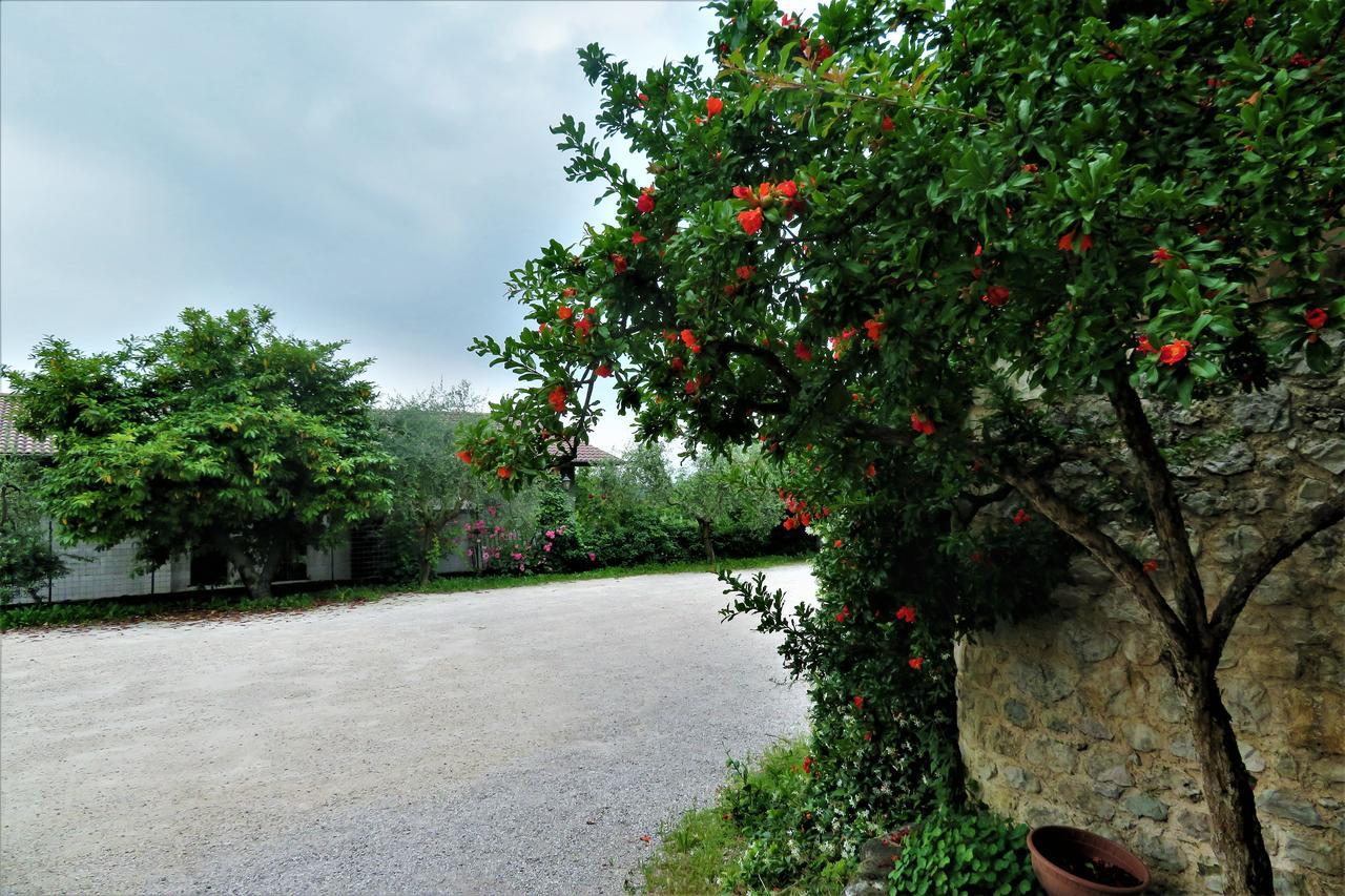 Locanda Alla Posta Borso del Grappa Buitenkant foto